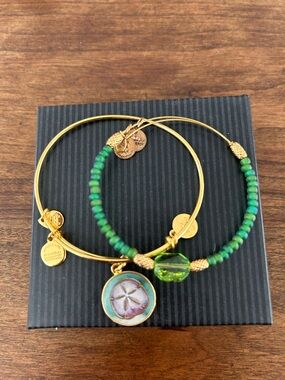 Alex and Ani Green Bead Sand Dollar Charm Bracelet Set